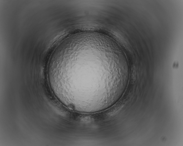 X0000090470258200708031311