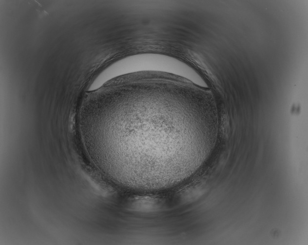 X0000090470259200708031311