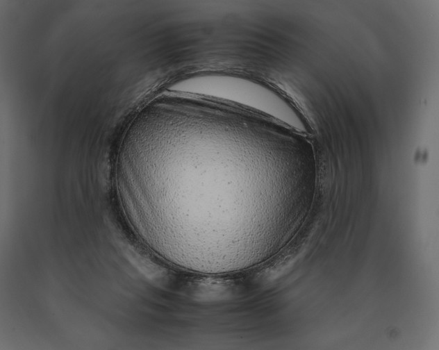 X0000090470261200708031311