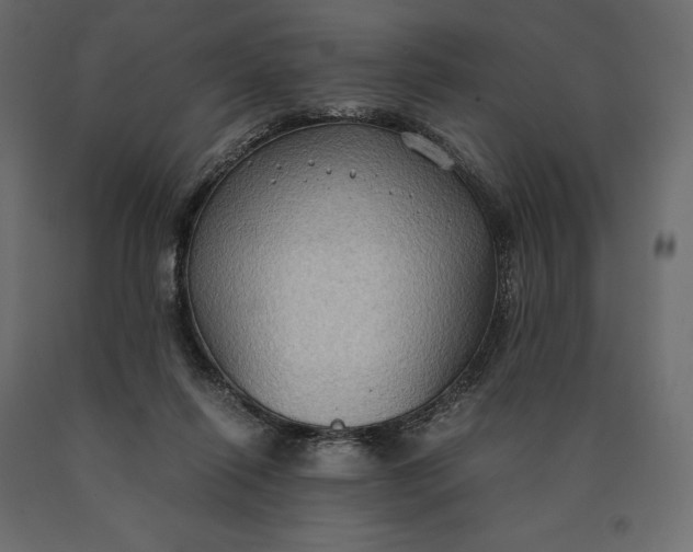 X0000090470262200708031311