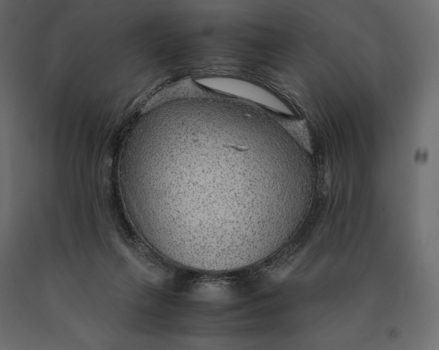 X0000090470263200708031312