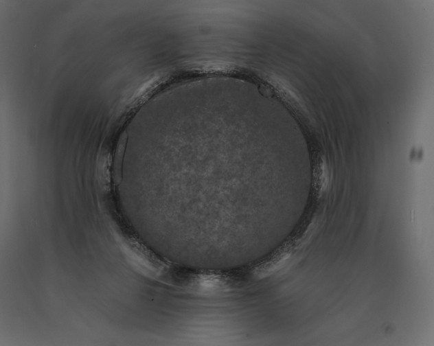 X0000090470264200708031312