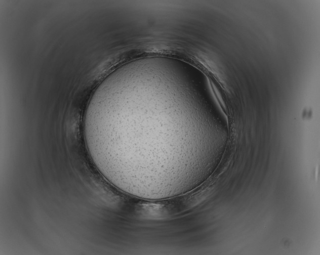 X0000090470265200708031312