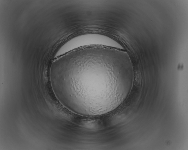 X0000090470267200708031312