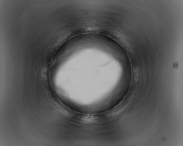 X0000090470269200708031312