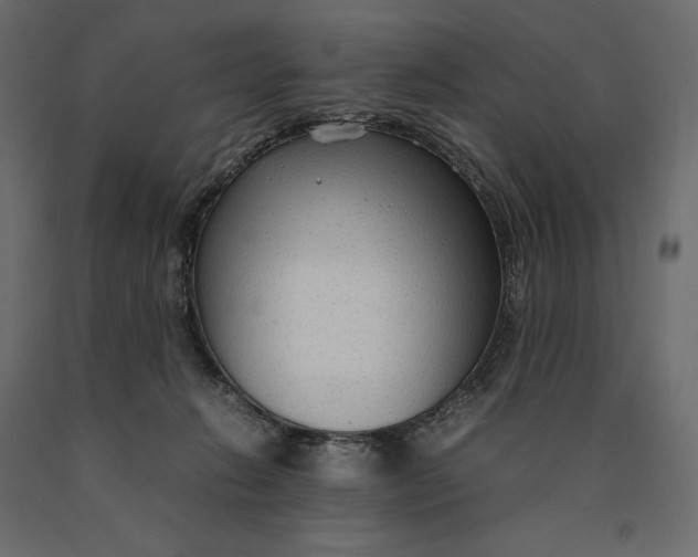 X0000090470270200708031312