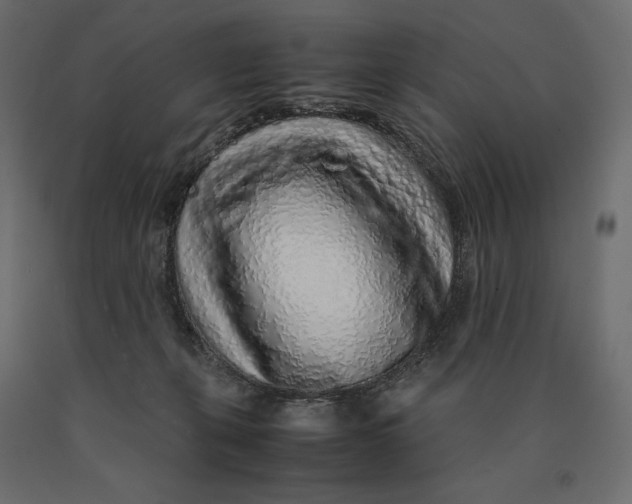 X0000090470271200708031312