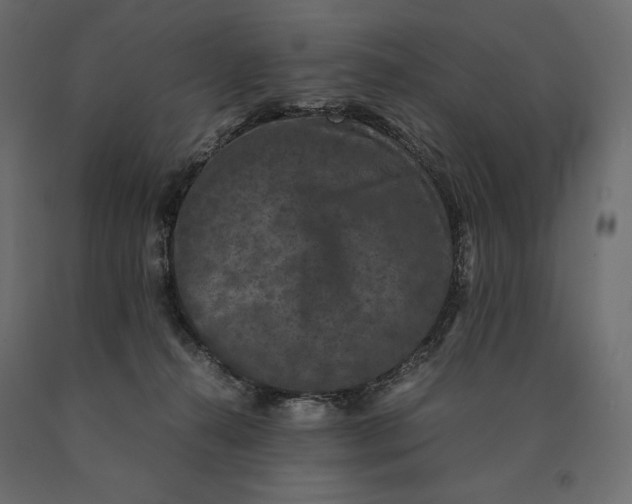 X0000090470272200708031312