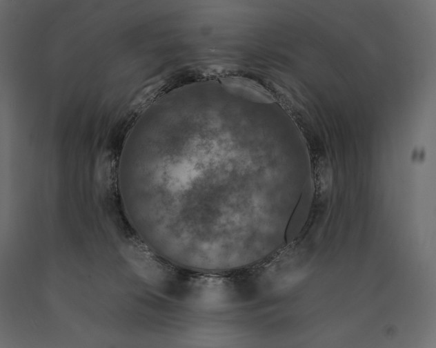 X0000090470276200708031312