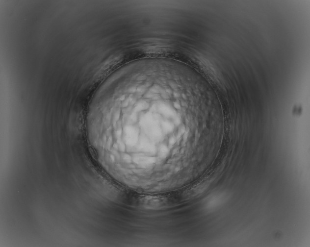 X0000090470277200708031312