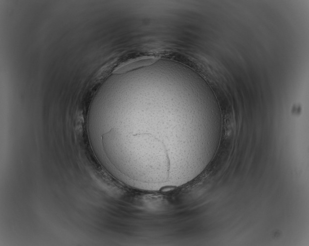 X0000090470279200708031312