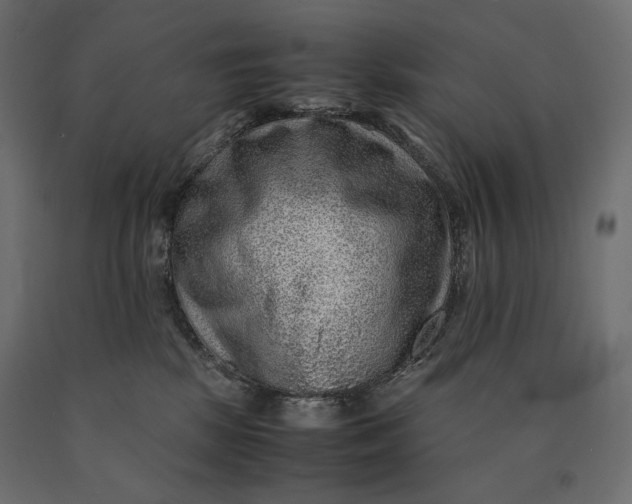 X0000090470281200708031312