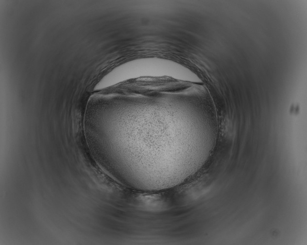 X0000090470283200708031312