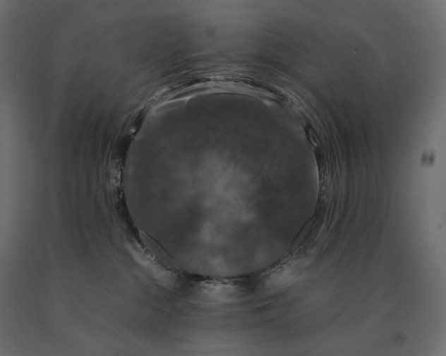 X0000090470284200708031312