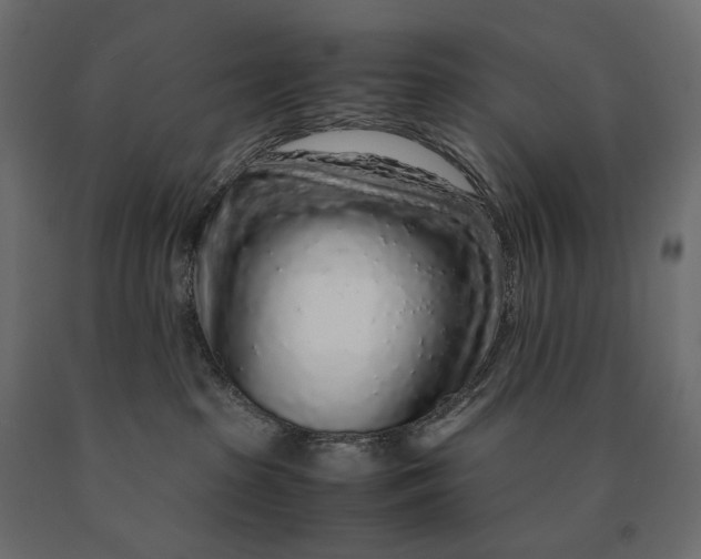 X0000090470285200708031312