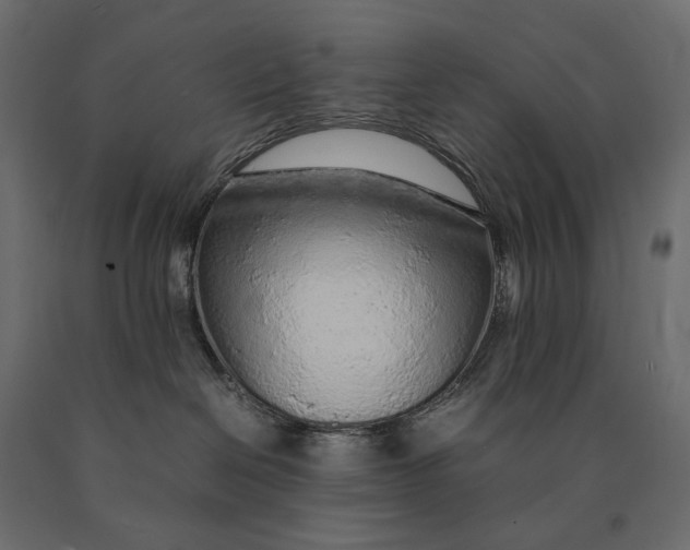 X0000090470286200708031312