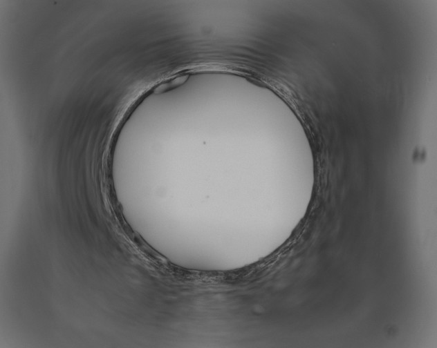 X0000090470289200708031311