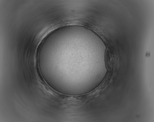 X0000090470290200708031311