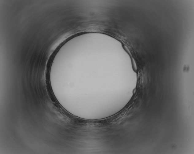 X0000090470292200708031311