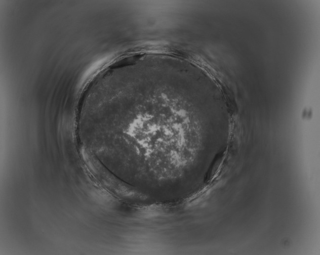 X0000090470293200708031311