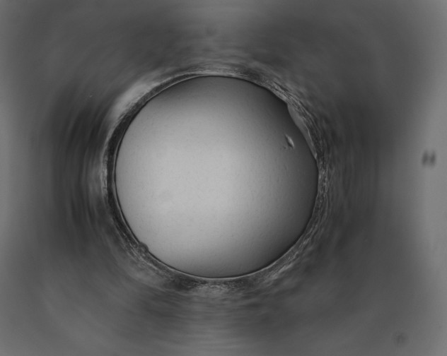 X0000090470294200708031311