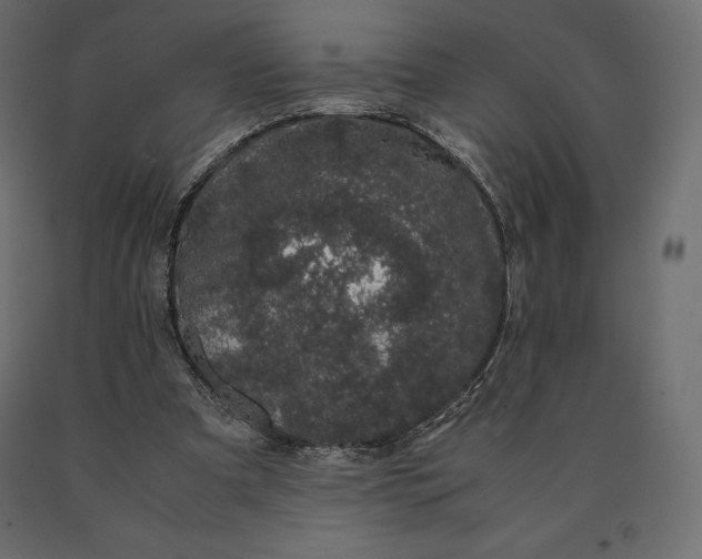 X0000090470297200708031311