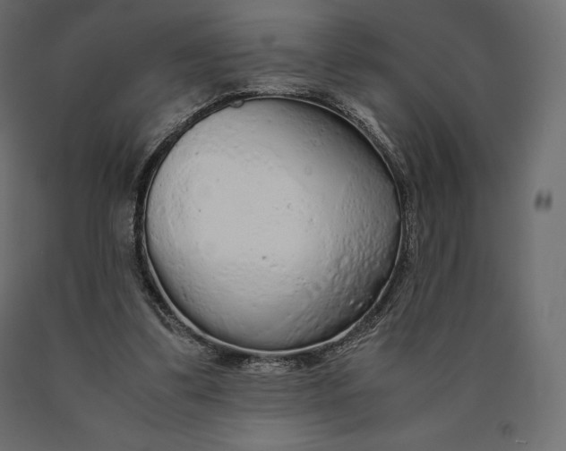 X0000090470299200708031311