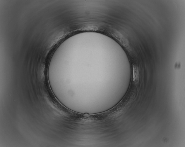 X0000090470300200708031311