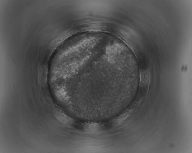 X0000090470301200708031311