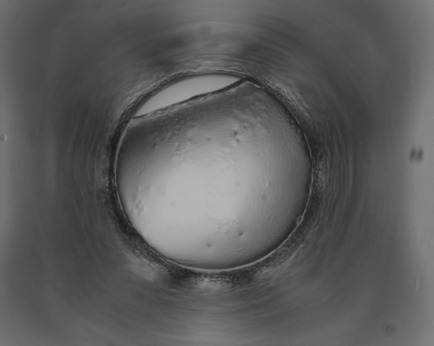 X0000090470303200708031311