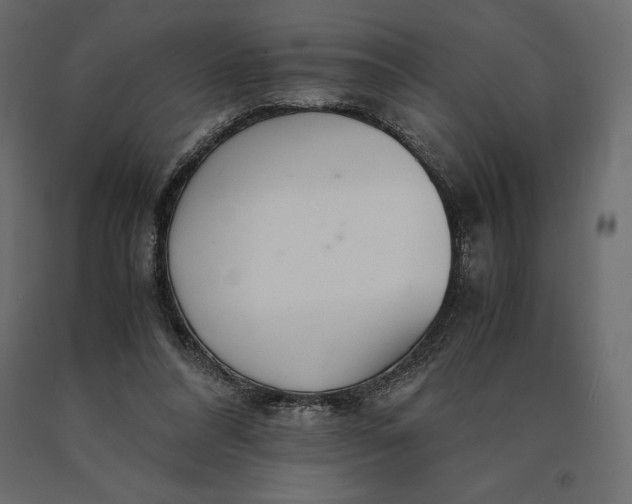 X0000090470304200708031311