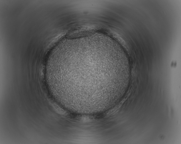 X0000090470305200708031311