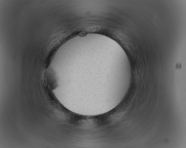 X0000090470307200708031311