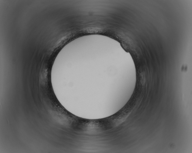 X0000090470308200708031311