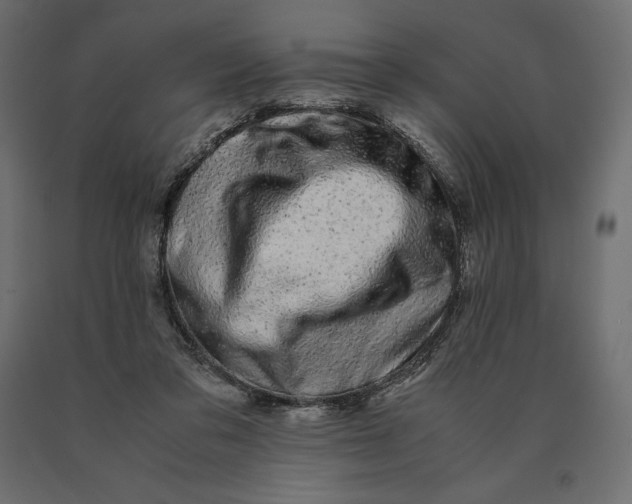 X0000090470309200708031311