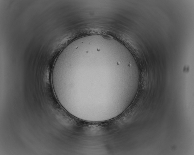 X0000090470310200708031311