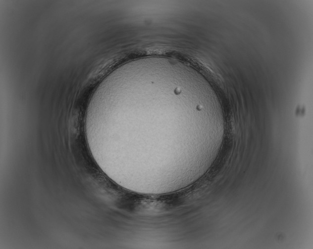 X0000090470311200708031311