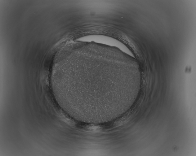 X0000090470313200708031311