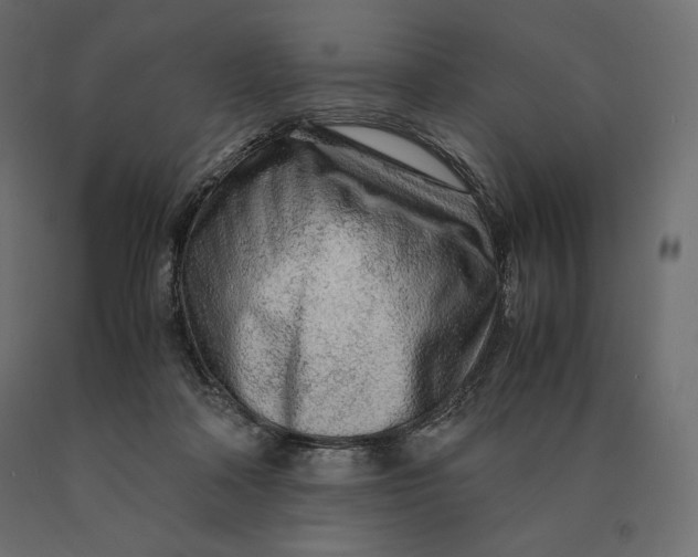 X0000090470314200708031311