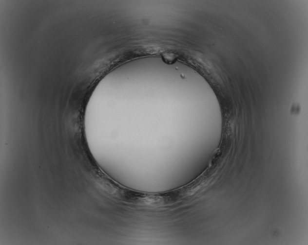 X0000090470317200708031311