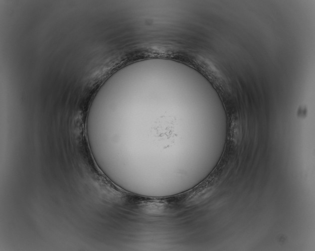 X0000090470318200708031311