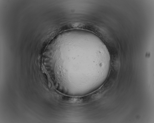 X0000090470319200708031311