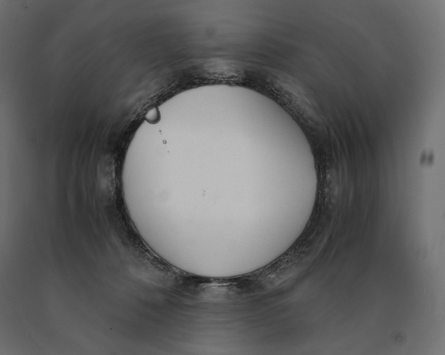 X0000090470320200708031311