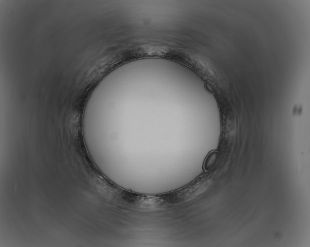 X0000090470321200708031311