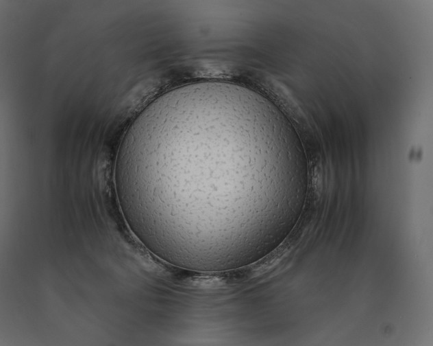 X0000090470322200708031311