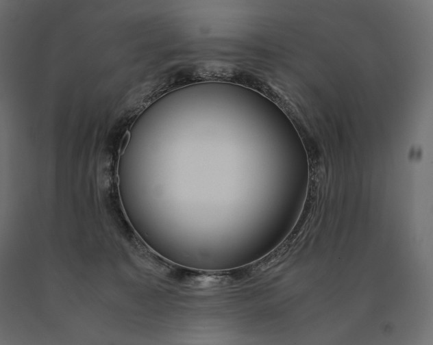 X0000090470323200708031311