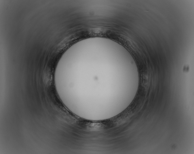 X0000090470324200708031311