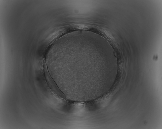 X0000090470325200708031311