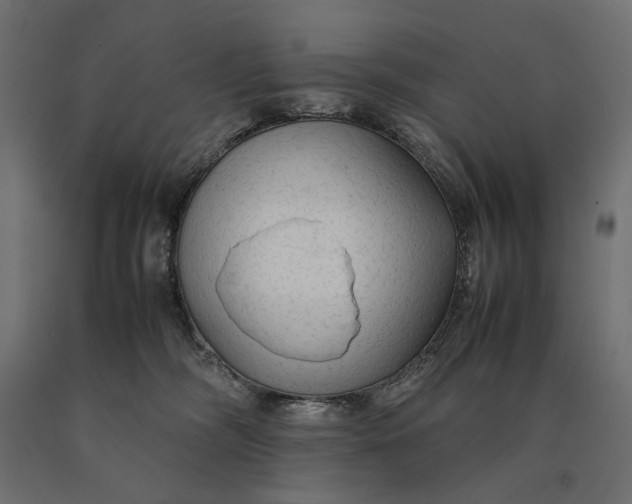 X0000090470326200708031310