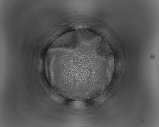 X0000090470327200708031310